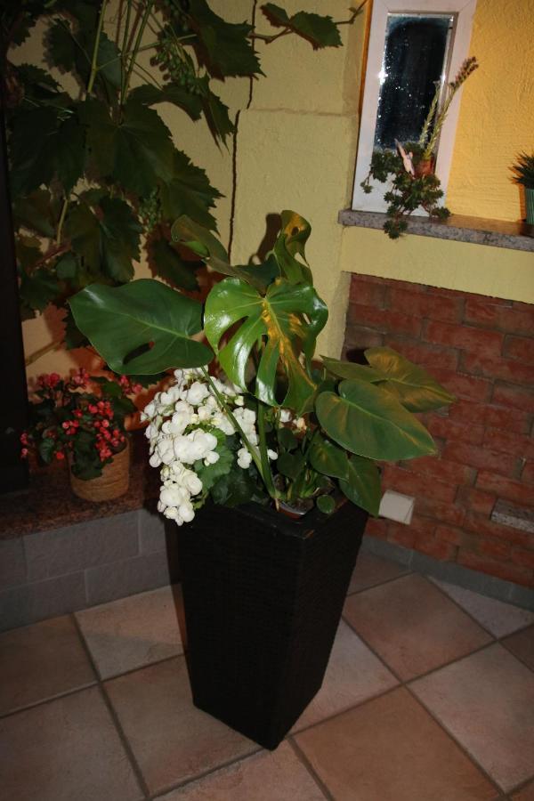 Appartement Sto Hannover Exterior foto